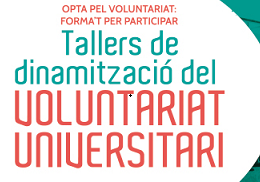 Tallers dinamització del voluntariat