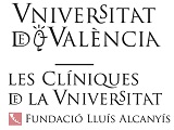 Fundació Lluís Alcanyís
