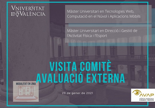 Visita comité evaluación externa