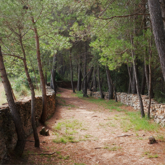 Representative picture of the project