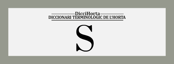 DicciHorta - S - imatge 0