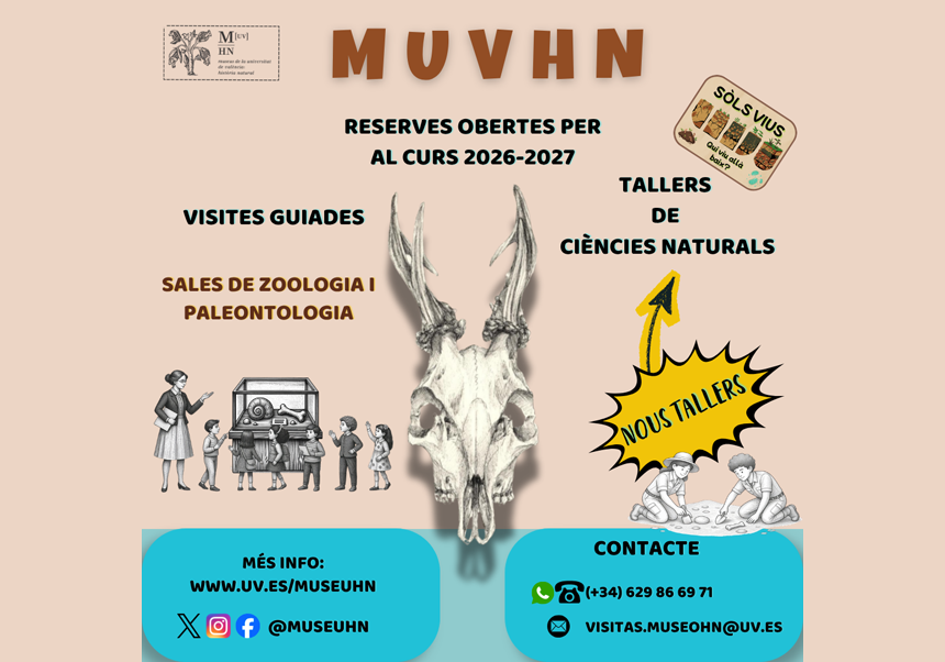 Ja els tenim açí! Nous tallers per al pròxim curs 2026-27