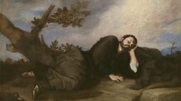 Imatge d'un home dormint baix un arbre