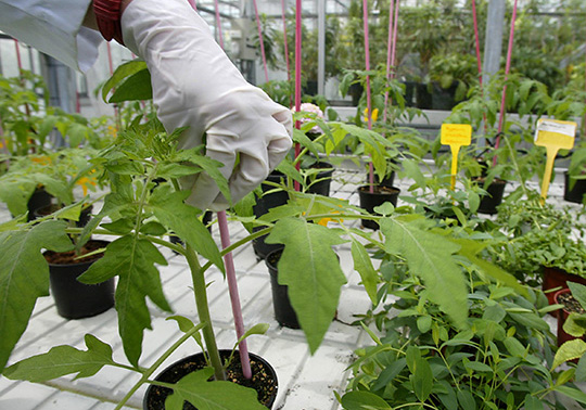INNOTRANSFER AGROALIMENTACIÓN: Seguridad alimentaria