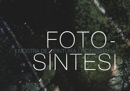 'Foto-síntesi', mostra de pintura i fotografia, al Botànic