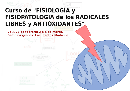 Curs de Fisiologia i Fisiopatologia dels Radicals lliures i antioxidants