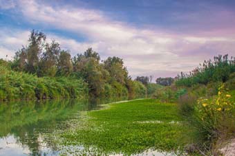 Xúquer river. Image of Pep Pelechá.