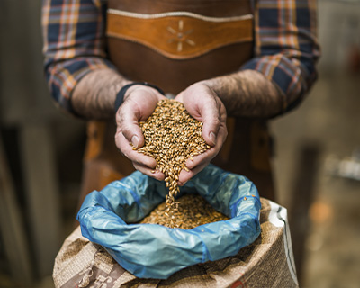 Representative picture of the project