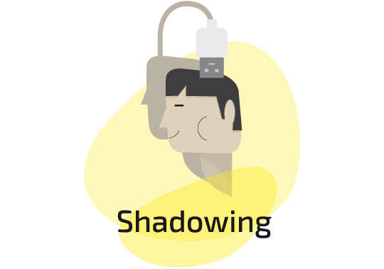 Imagen gráfica del programa de mentorización Shadowing.