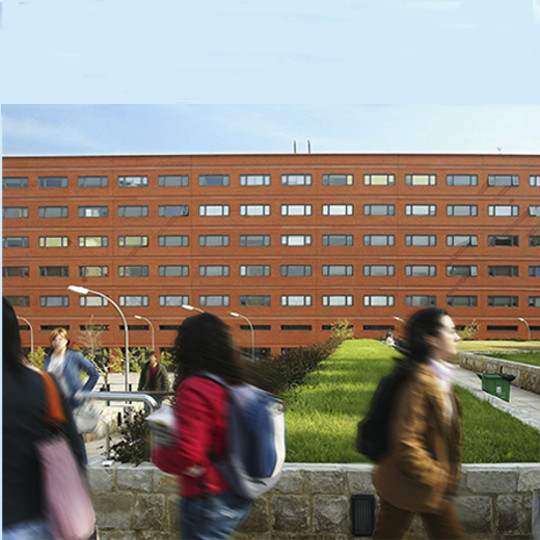 Persones al campus dels Tarongers