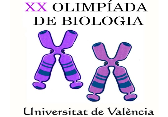 Image de la noticia
