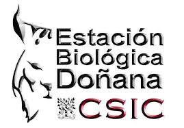 Image de la noticia