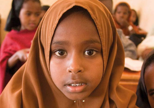 Refugee and SDG II