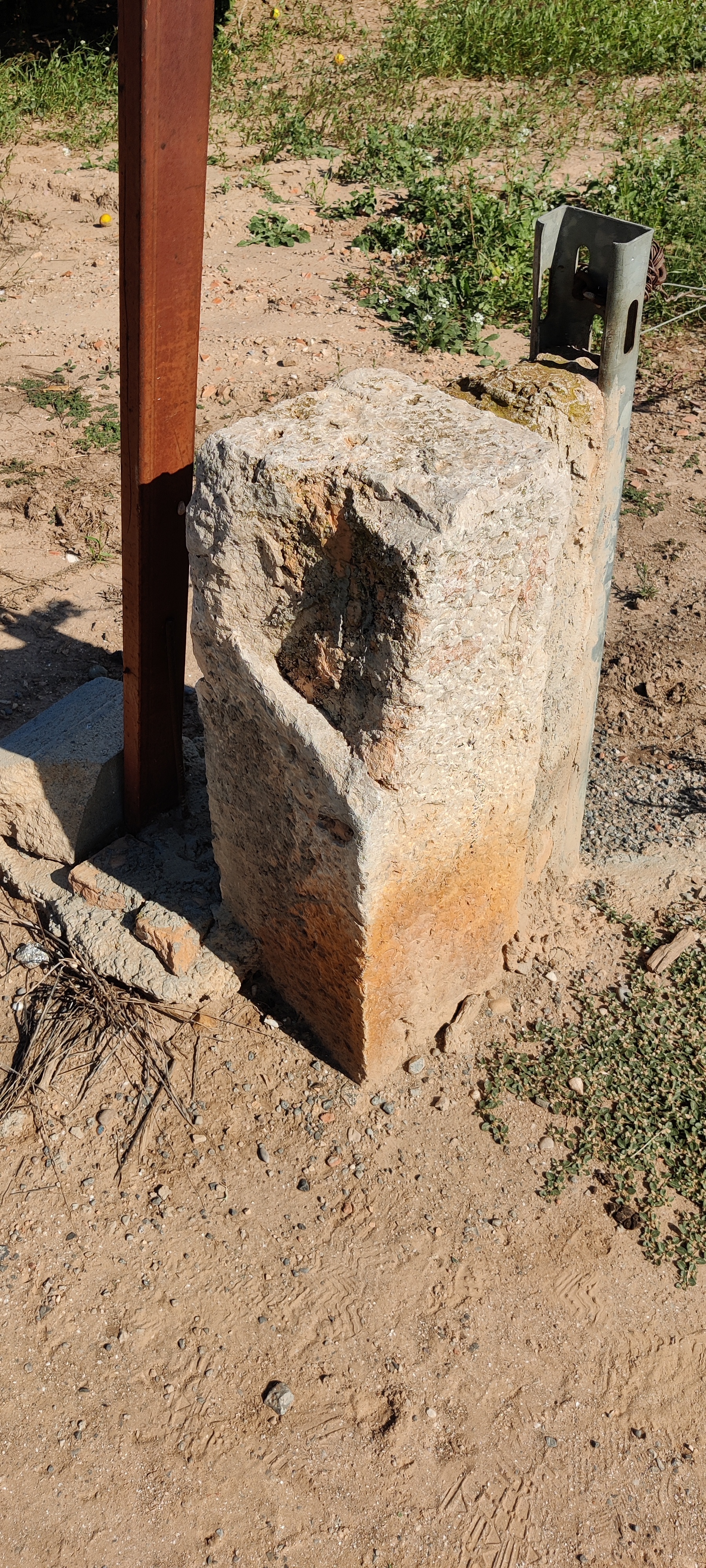 Molló de Terme nº34