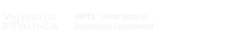 Logo del portal