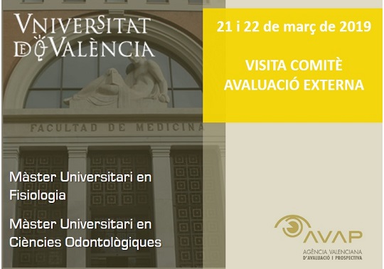 Comité evaluación externa