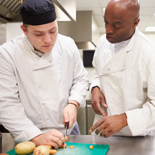 Imatge representativa del projecte