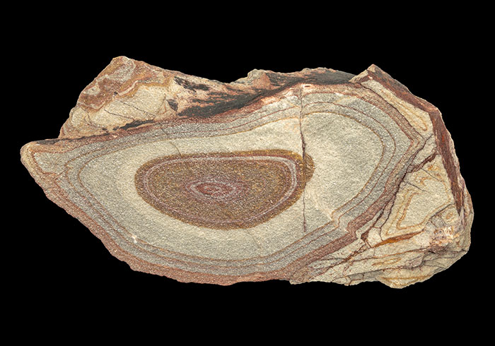 Roca sedimentaria