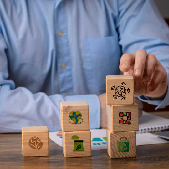 Imatge representativa del projecte