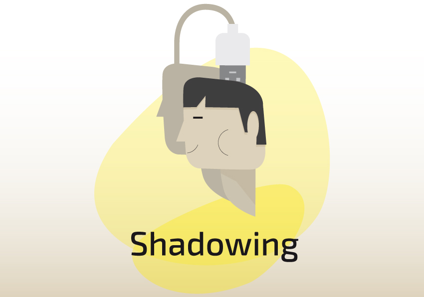 Imatge del esdeveniment:Imatge gràfica del programa Shadowing.