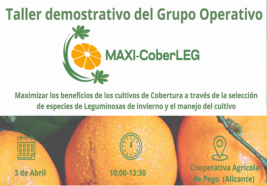 Programa del taller demostratiu del grup Operatiu Maxi-CoberLEG