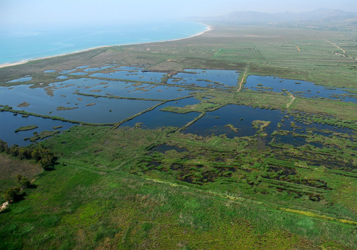 Prat de Cabanes-Torreblanca. Foto: Fundación Global Nature.