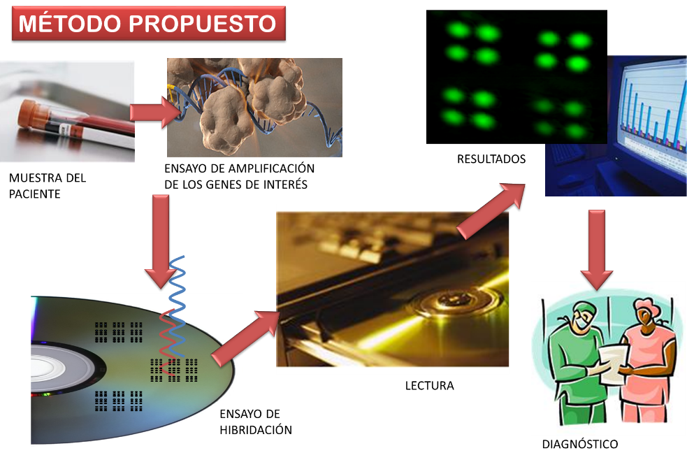 Imatge representativa del projecte