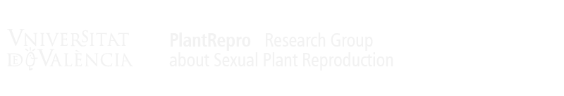 Logo del portal