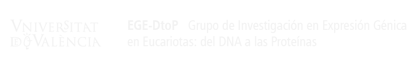 Logo del portal