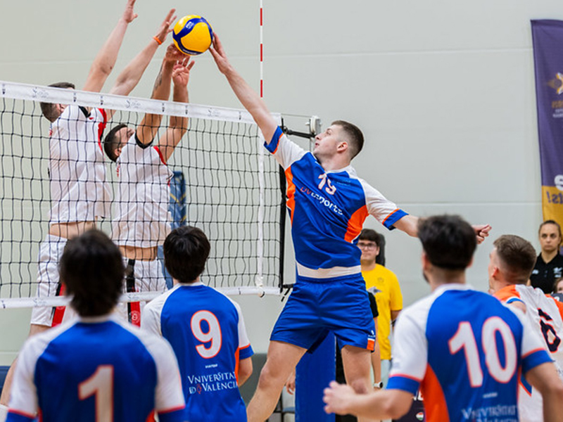 equip de voleibol en un partit - imatge 0