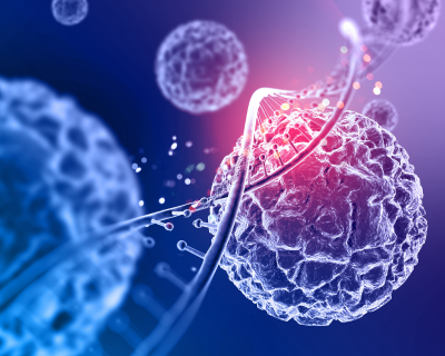 Representative picture of the project