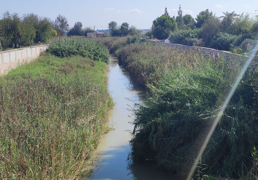 Lower course of the Segura River in the Vega Baja region.