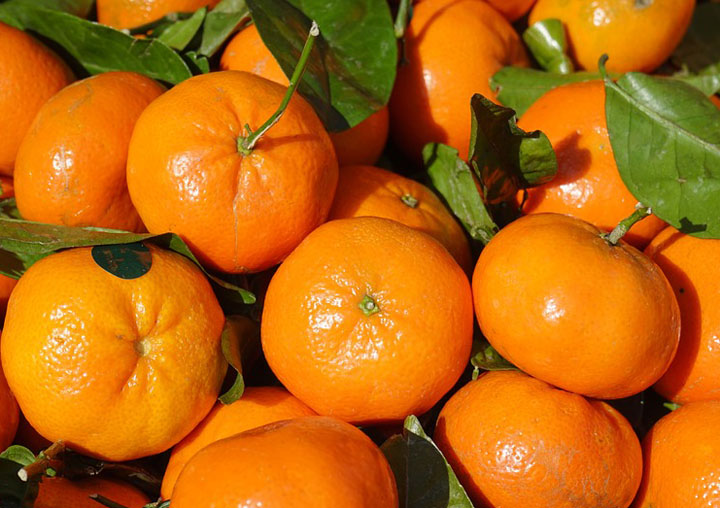 Mandarines Nadorcott.