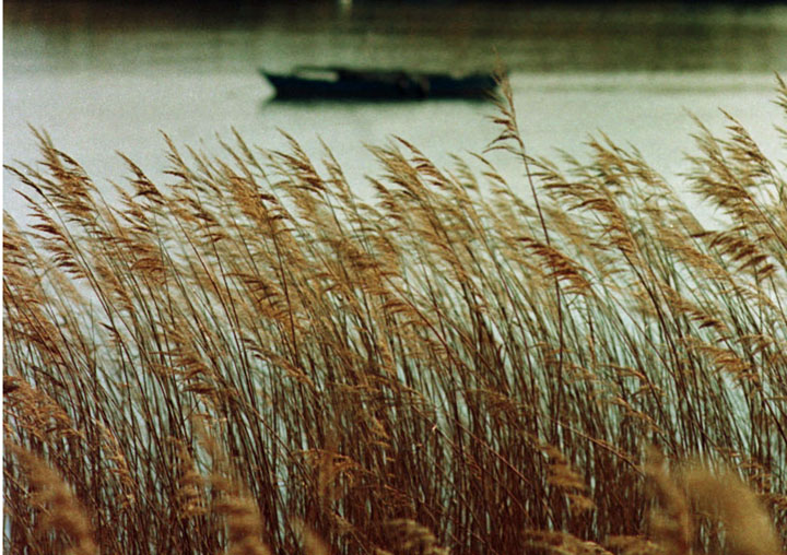 Imatge de l'Albufera