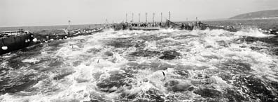 Photography that can be seen at the exhibition about the almadraba.