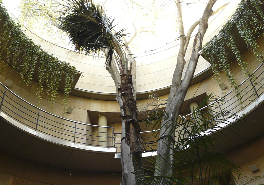Jardín Botánico Universitat de València