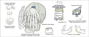 Schematic representation of the burial 26 Lapa do Santo.