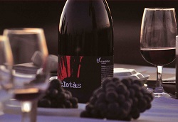 Tast de vins