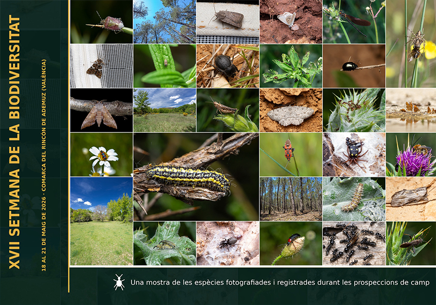 XVII Semana de la Biodiversidad de la Comunitat Valenciana - Junio