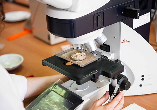 Arqueólogo analizando muestras en un microscopio