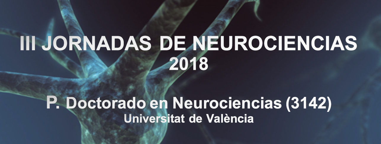 Image de la noticia