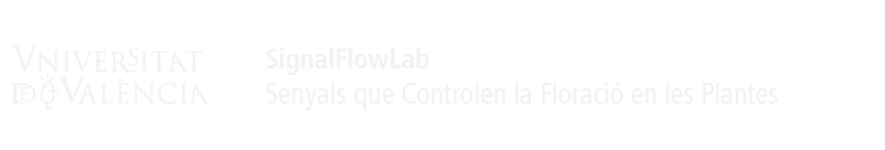 Logo del portal