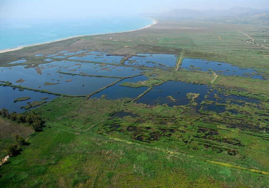 Prat de Cabanes - Torreblanca, one of the main Valencian wetlands.