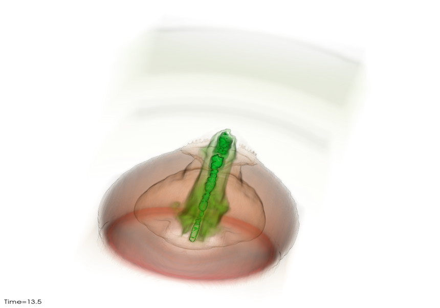 Esclats de raigs gamma