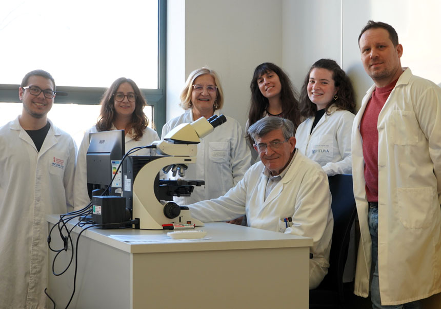 (From left to right). Isaac Vieco, Amparo López, Rosa Noguera, Sofía Granados, Marta Gómez, Jaime Verdú and Samuel Navarro (sitting).