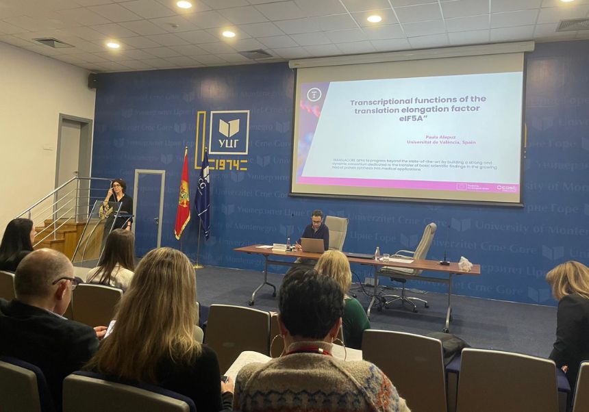 Paula Alepuz during her intervention TRANSLACORE meeting.