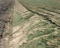 Imatge representativa del projecte