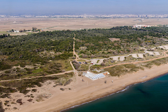 Vista aèria. Pérez de Prada. Exposició El Saler per al poble, ara! El poder de la ciutadania en la transformació responsable del paisatge i del territori’