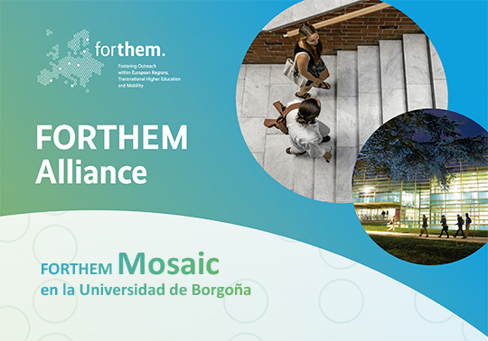 FORTHEM Mosaic Borgoña