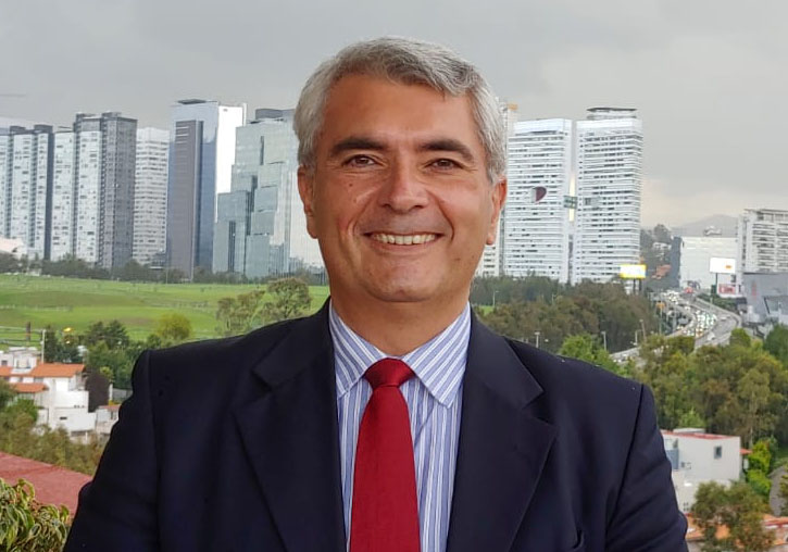 Lorenzo Cotino, Professor of Constitutional Law at the University of Valencia.